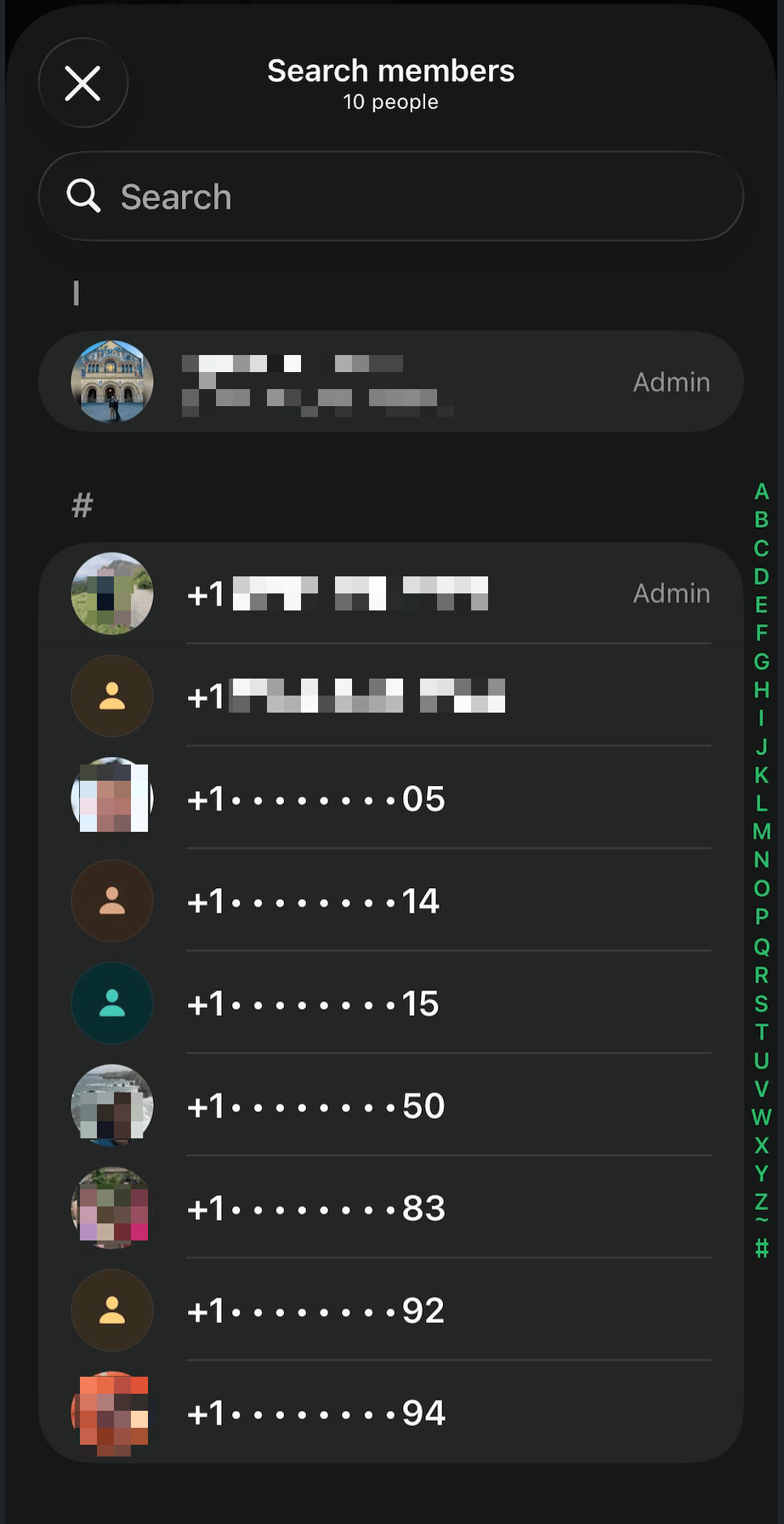 Example WhatsApp member list showing partially hidden phone numbers